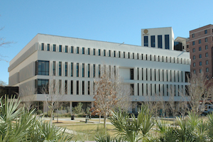 Bright Sunny Photo Showing View of the Library from Jonathan Lucas Stree